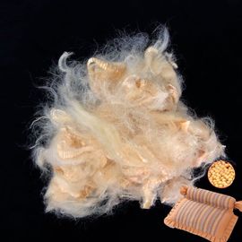 1.5Dx51MM Natural Soybean Protein Fiber Antibacterial For Filling